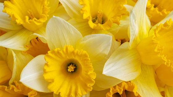 Making the Most of The Easter Holidays: 6 Simple Ways to Have Fun This Spring