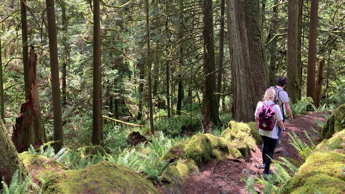 Madlugger Travel Guide: Vancouver