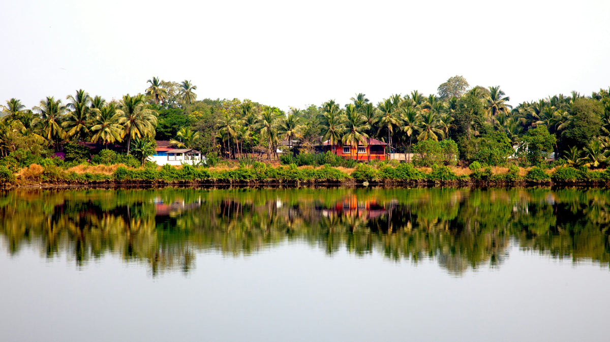 Madlugger Travel Guide: Goa