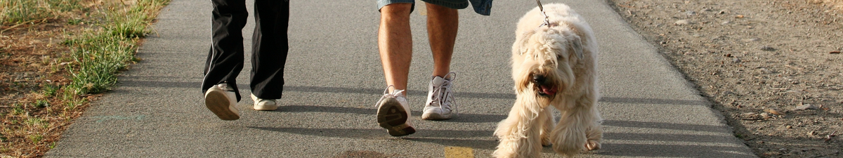 Get On Your Feet With Madlug