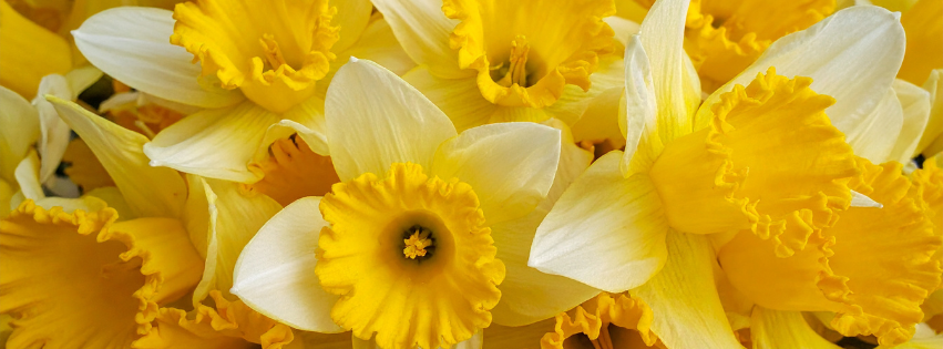Making the Most of The Easter Holidays: 6 Simple Ways to Have Fun This Spring