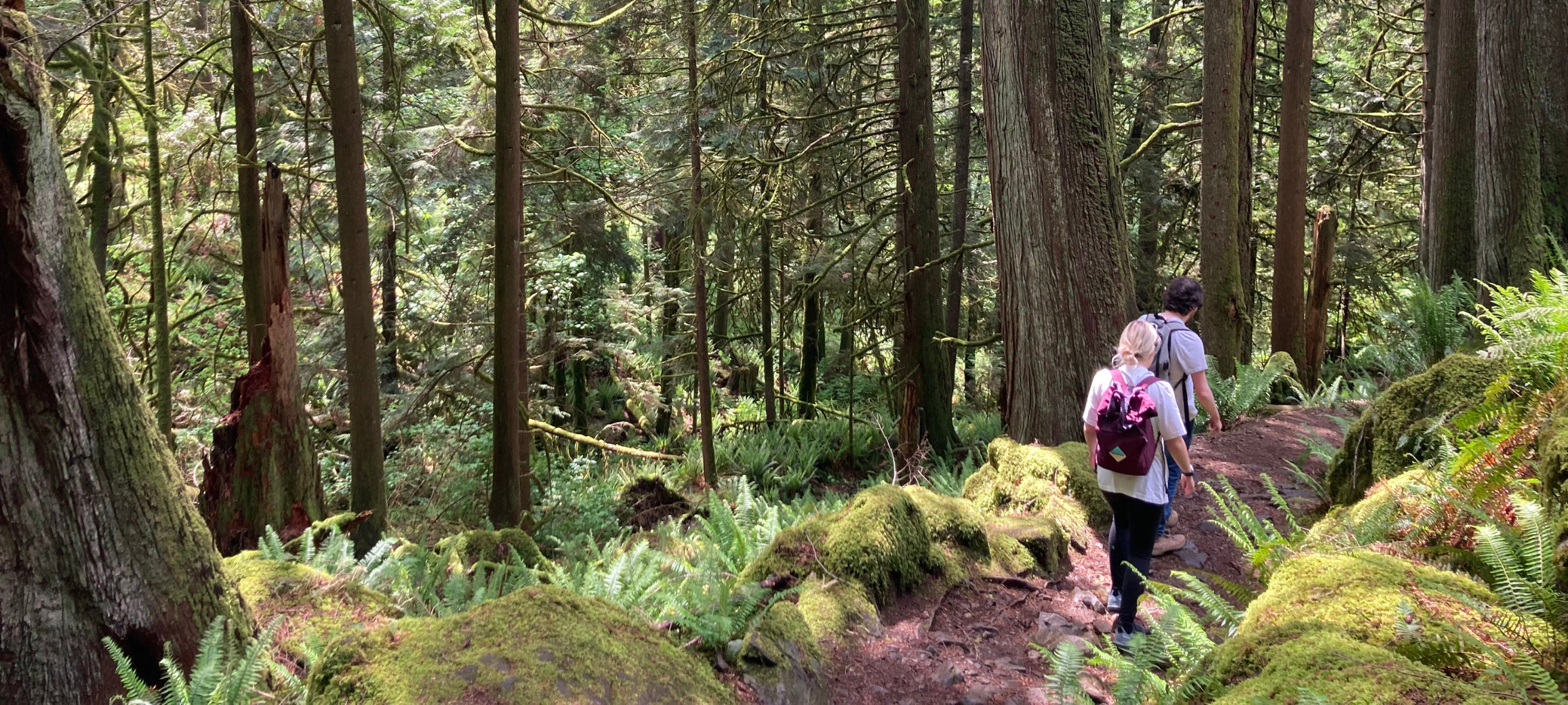 Madlugger Travel Guide: Vancouver