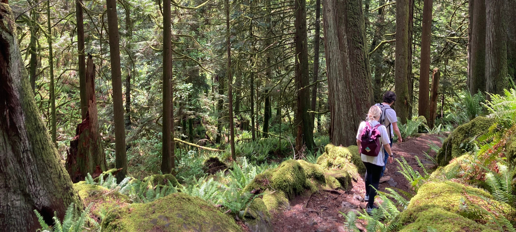 Madlugger Travel Guide: Vancouver