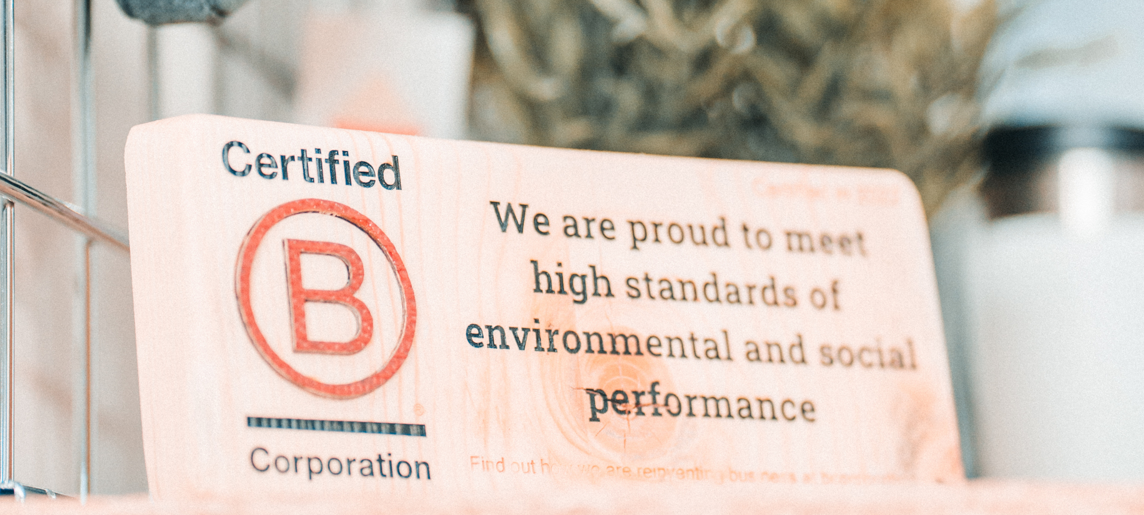 What is a B Corp?