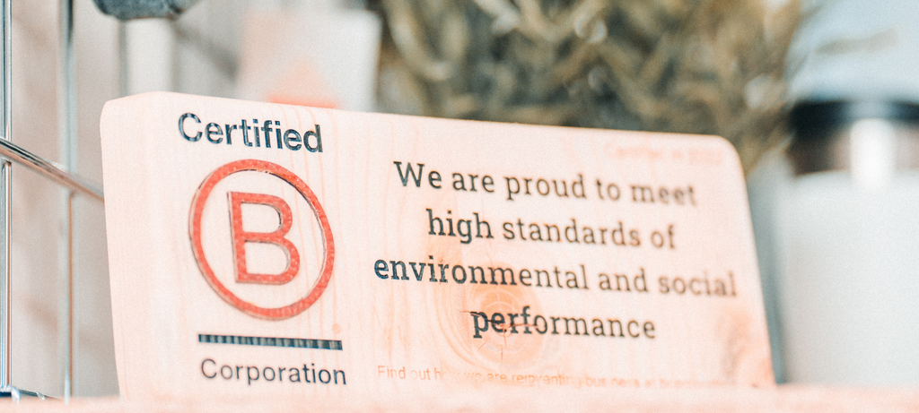 What is a B Corp?