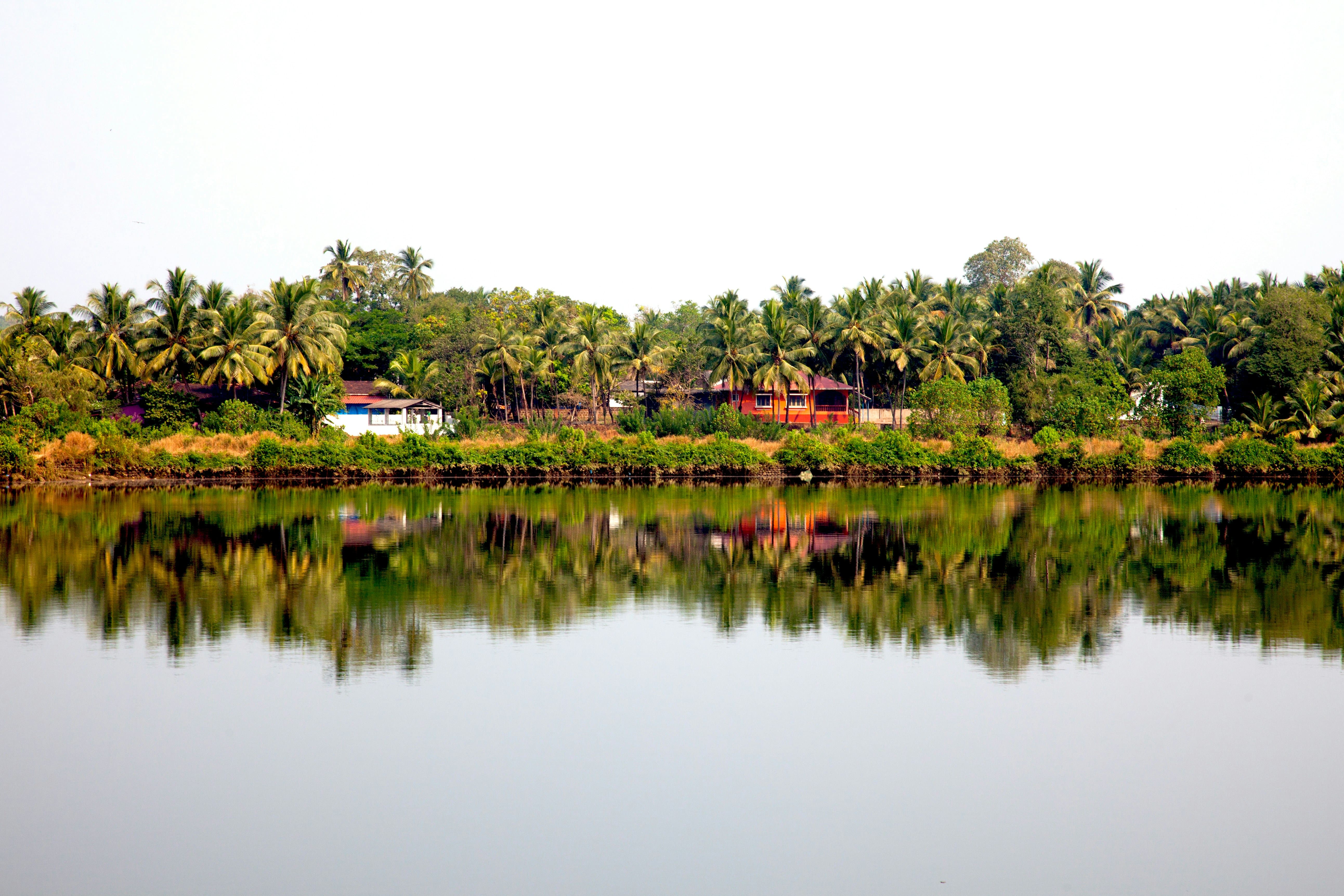Madlugger Travel Guide: Goa