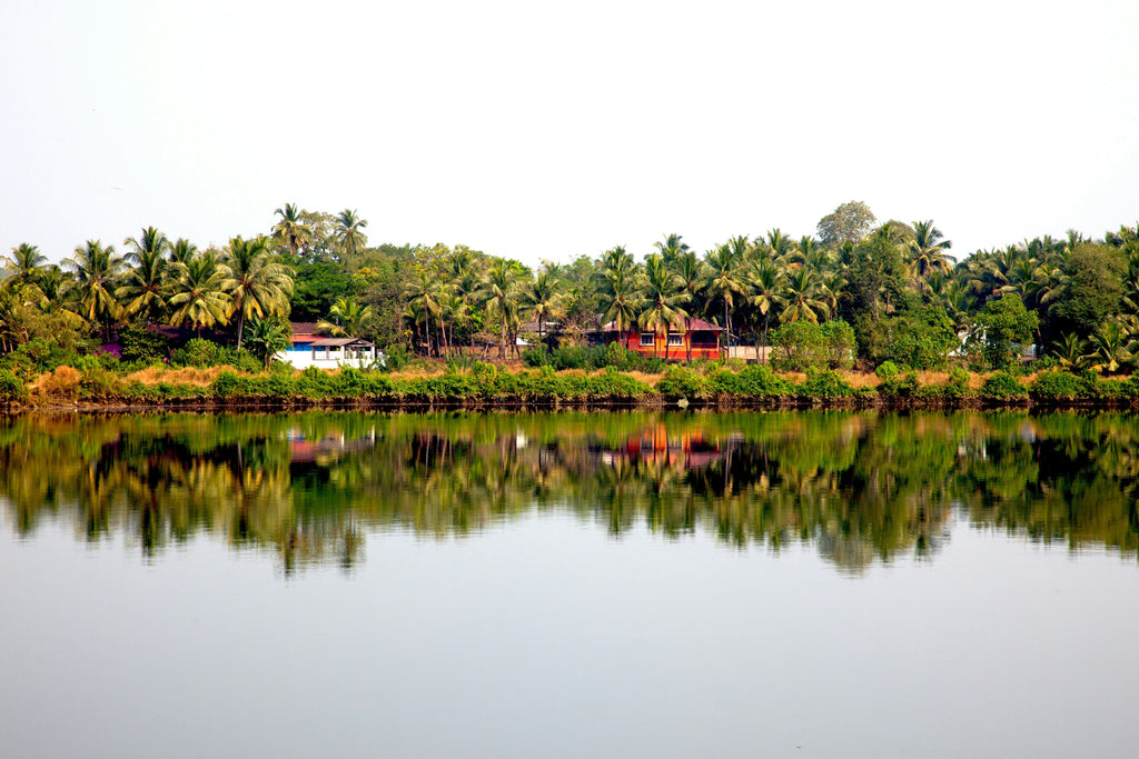 Madlugger Travel Guide: Goa